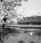 151012 Afbeelding van een voorbijsnellende electrische locomotief uit de serie 1300 van de N.S. in een landschap met ...